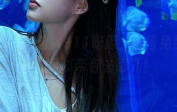进入911吃瓜，看看免费的传送门可以带你去哪儿！