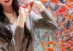 快手吃瓜最新视频实时更新，在线吃瓜不掉队