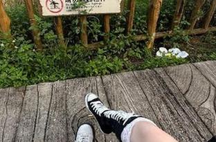 黑料网免费使用指南：安卓用户快来揭秘动漫游戏背后的故事